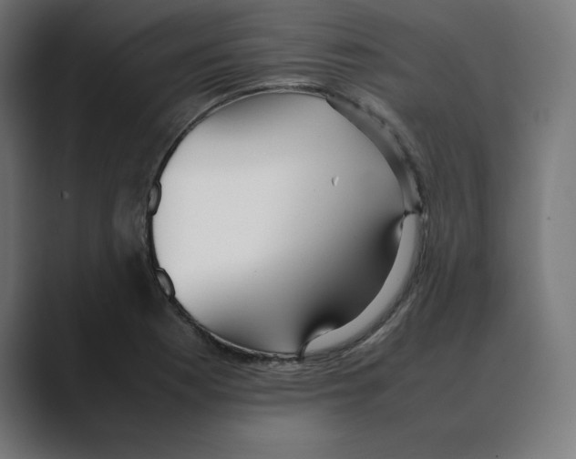 X0000088421177200706191210