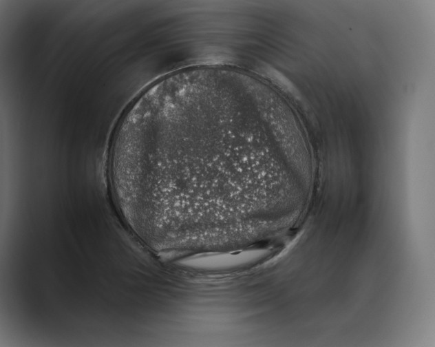 X0000088421178200706191210