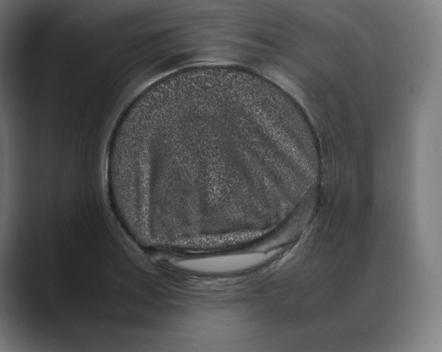 X0000088421179200706191210