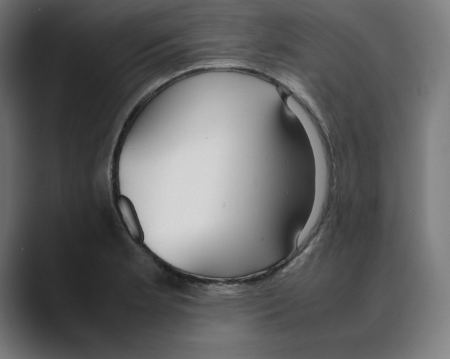 X0000088421181200706191210