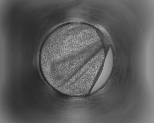 X0000088421183200706191210