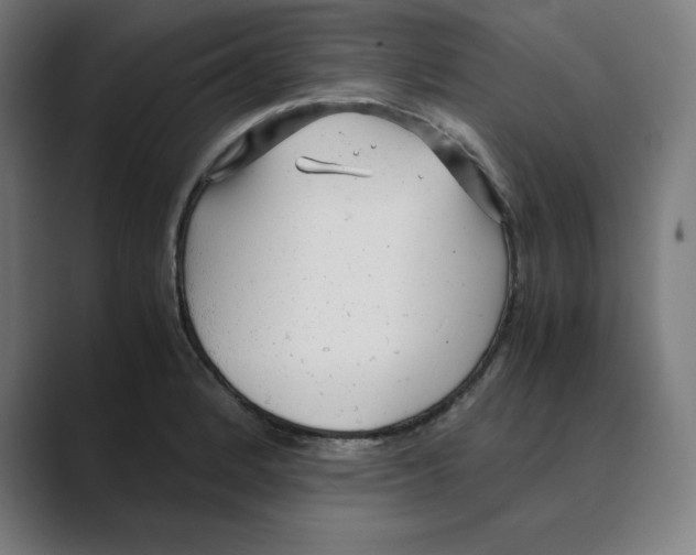 X0000088421184200706191210