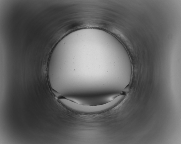 X0000088421185200706191210
