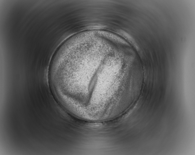 X0000088421186200706191210