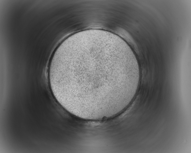 X0000088421190200706191210