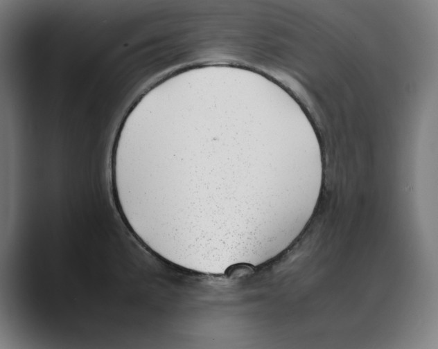 X0000088421191200706191210
