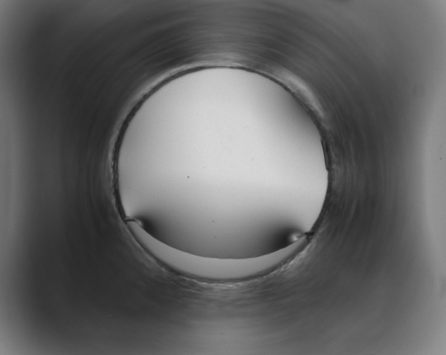 X0000088421192200706191210