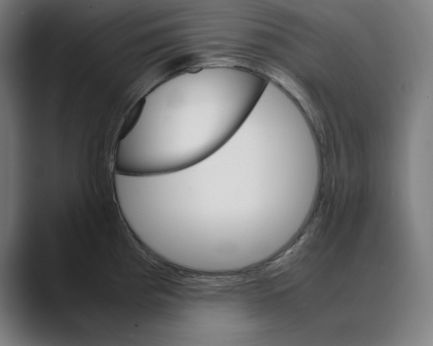 X0000088421193200706191210
