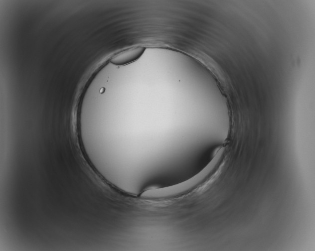 X0000088421196200706191210