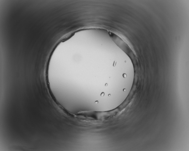 X0000088421197200706191210