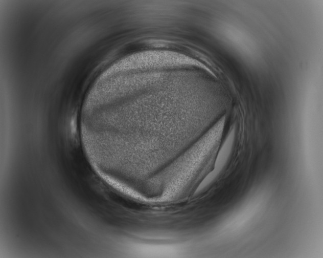 X0000088421198200706191210