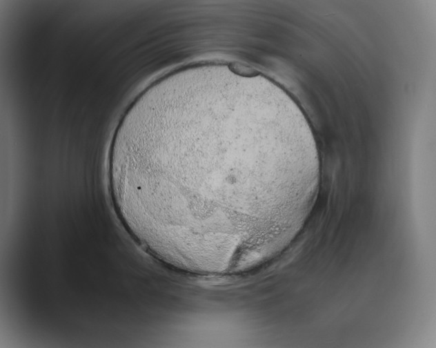 X0000088421199200706191210