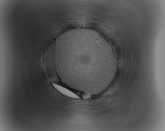 X0000088421202200706191210
