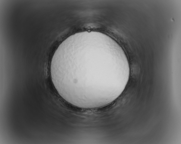 X0000088421205200706191210