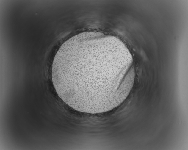 X0000088421207200706191210