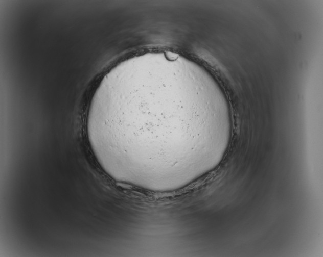 X0000088421208200706191210