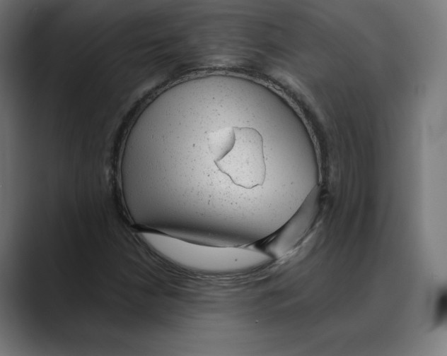 X0000088421210200706191210