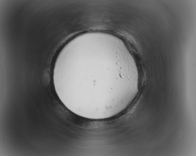 X0000088421212200706191210