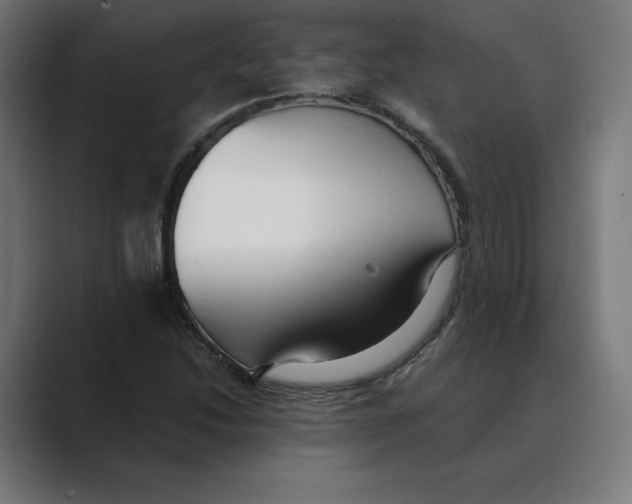 X0000088421214200706191210