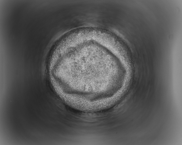 X0000088421215200706191210