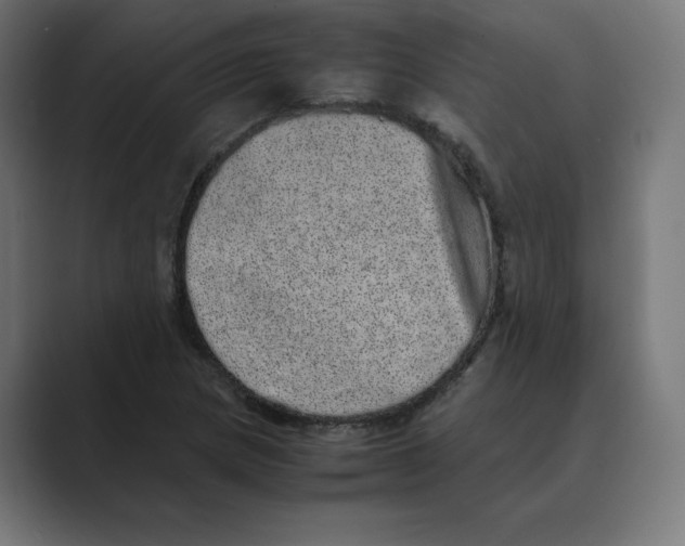 X0000088421217200706191210