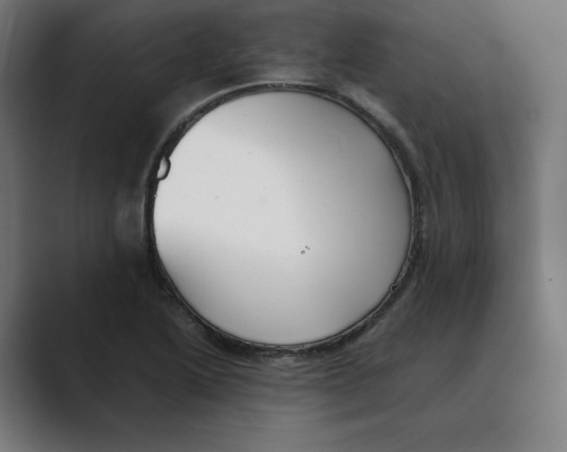 X0000088421222200706191210