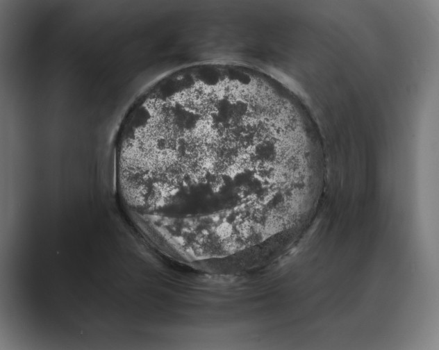 X0000088421223200706191210