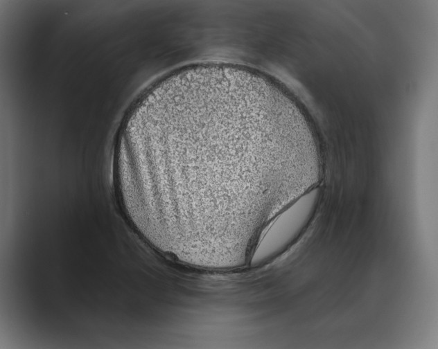 X0000088421224200706191210