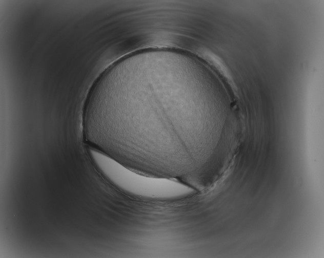 X0000088421226200706191210