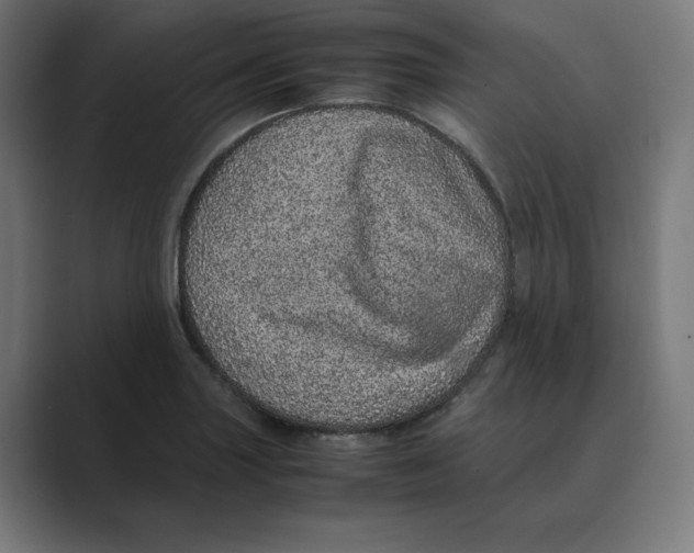 X0000088421227200706191210