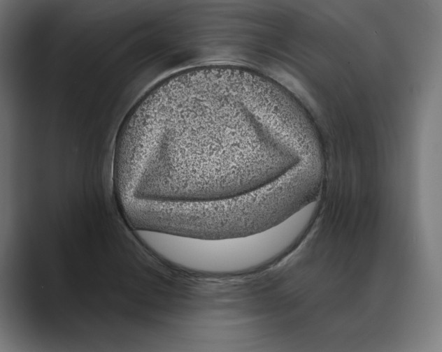 X0000088421228200706191210