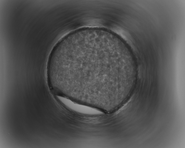 X0000088421229200706191210