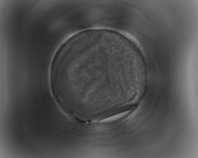 X0000088421231200706191210