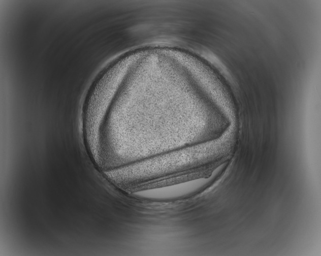 X0000088421232200706191210