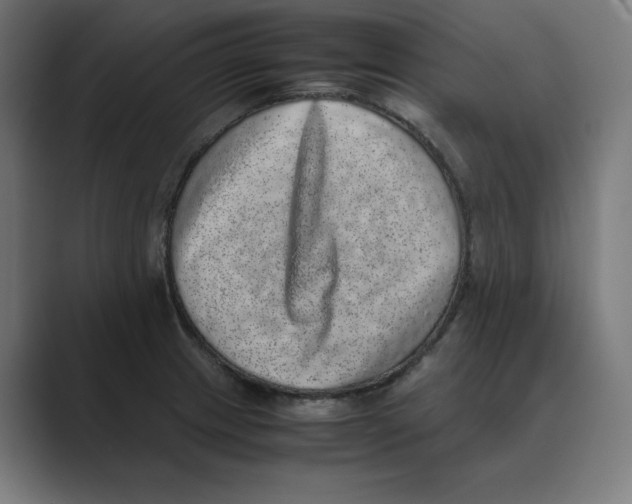 X0000088421233200706191210