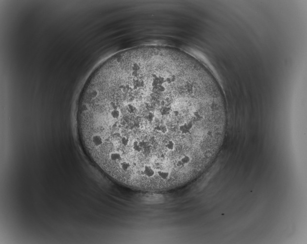 X0000088421235200706191210