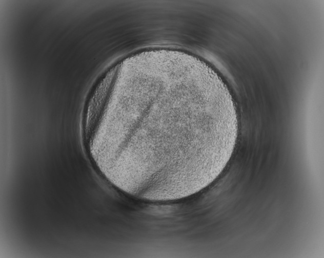 X0000088421237200706191210