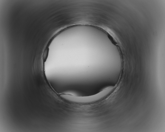 X0000088421238200706191210