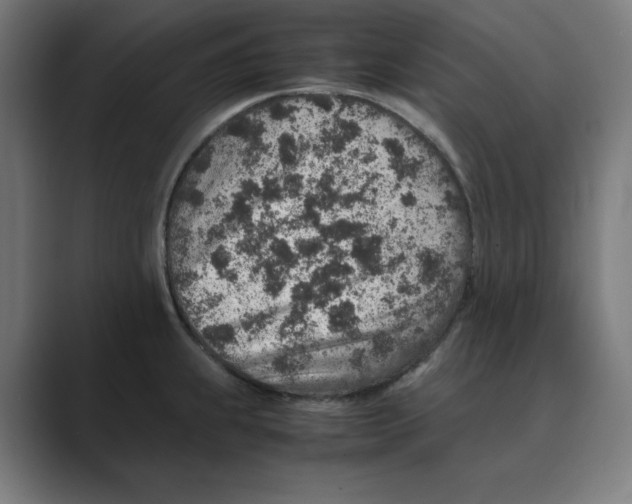 X0000088421239200706191210