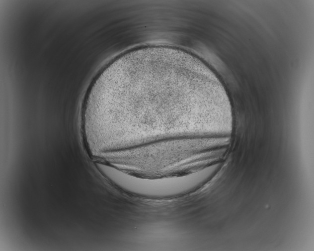 X0000088421240200706191210