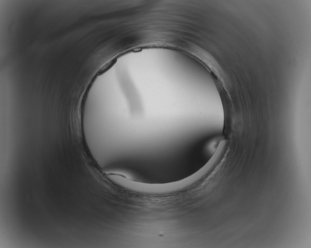 X0000088421242200706191210