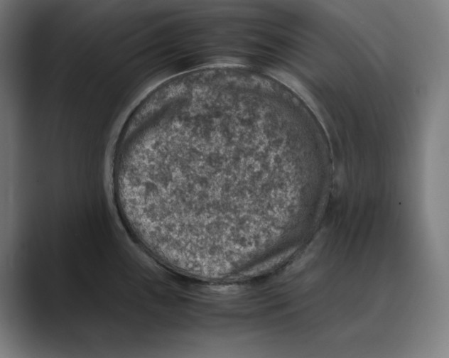 X0000088421243200706191210