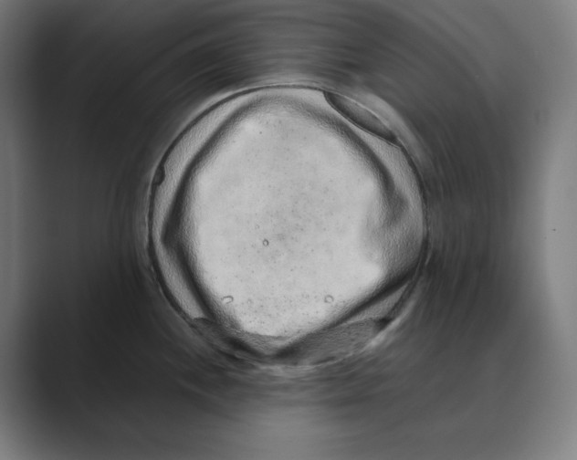 X0000088421244200706191210