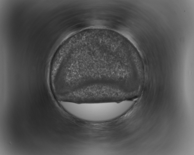 X0000088421245200706191210