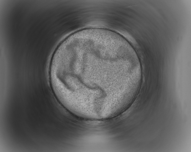 X0000088421248200706191210