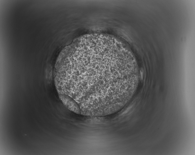 X0000088421251200706191210
