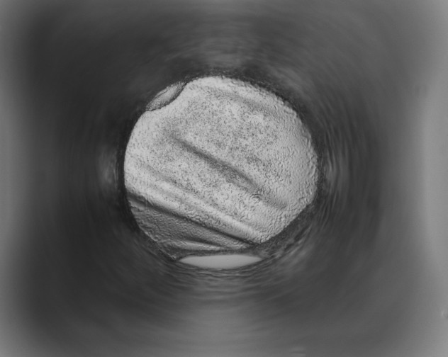 X0000088421252200706191210