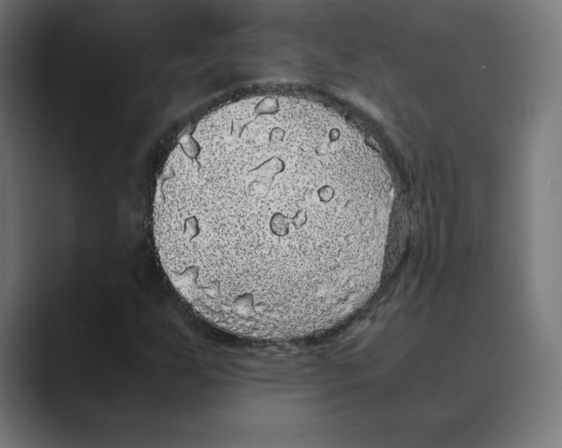 X0000088421255200706191209