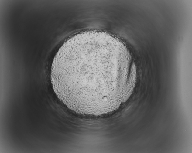 X0000088421256200706191209