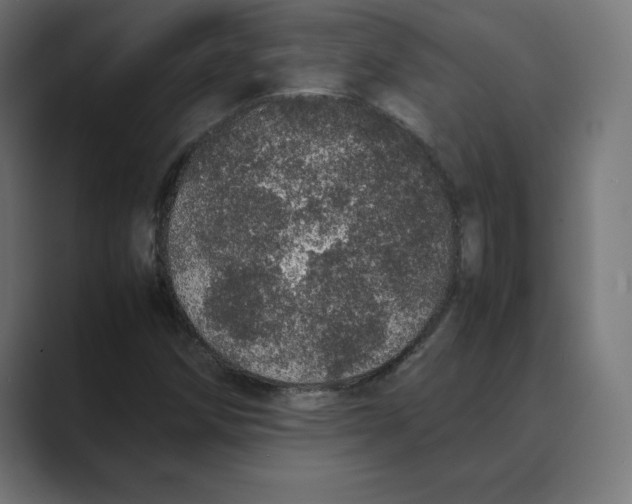 X0000088421258200706191209